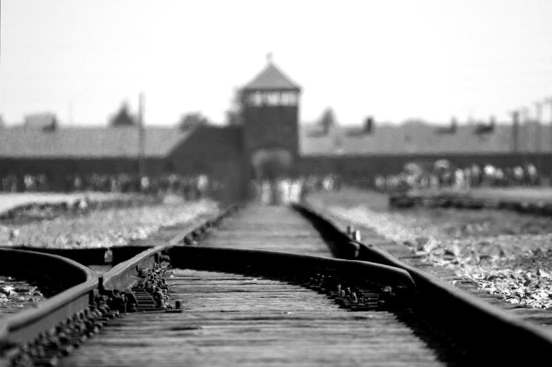 La memoria della Shoah e la violenza come sistema. La fatica di ricordare